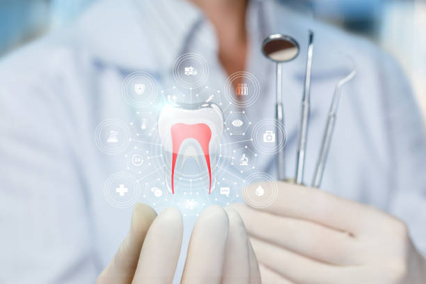 Professional  Holistic Dental Services in Buckhead, GA
